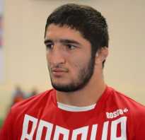 Садулаев абдулрашид булачевич. Абдулрашид Садулаев – биография